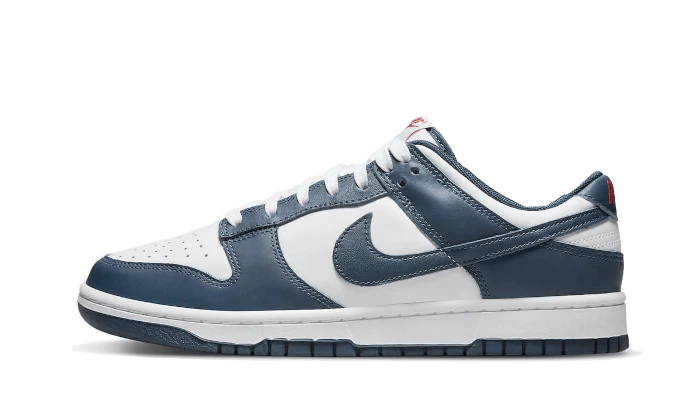 NIKE DUNK LOW 2024 VALERINE