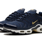 Nike Air Max Plus FFF