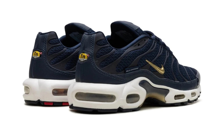 Nike Air Max Plus FFF