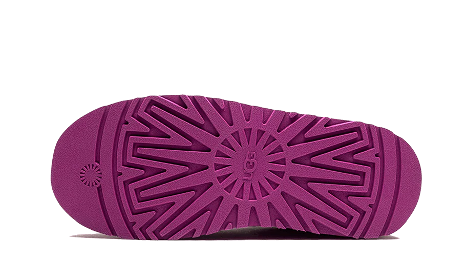 UGG Tazz Slipper Mangosteen (Women's)